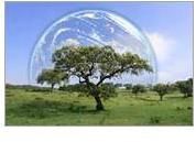 Environmental Services