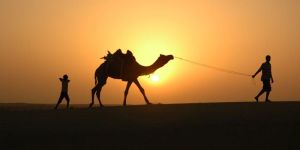 Desert & Camel Safari