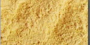 Dehydrated Toasted Onion Powder