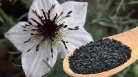 Nigella Seeds
