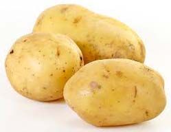 Organic Potato
