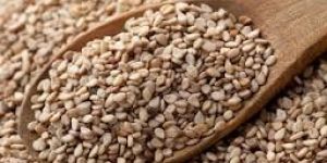 Sesame Seeds