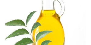 Neem Fruit Oil
