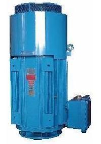Vertical Motors