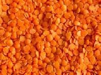 Red Split Lentils