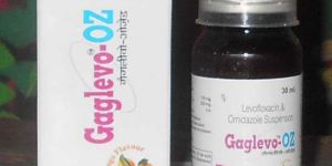 Gaglevo-OZ Suspension