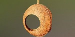 SINGLE HOLE BIRD FEEDER