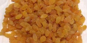Golden Raisins