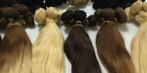 Double Color Straight Human Hair