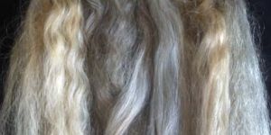 Grey Human Hair