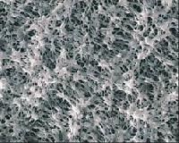 PTFE Membrane Filter