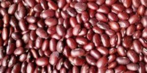 Red Kidney Beans