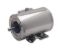 Stainless Steel Motors
