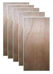 Commercial Flush Doors