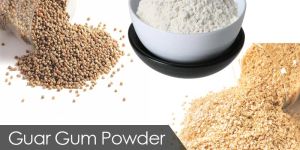 Guargum Powder