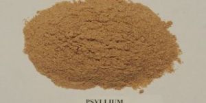 Psyllium Husk Powder