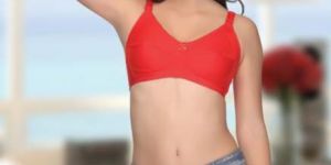 Ladies Bra 11