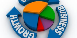 Market Research Consultant