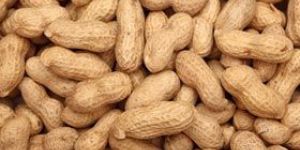 Shelled Groundnuts