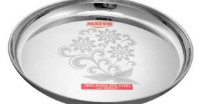 Stainless Steel Dinner Plates