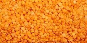 Red Split Lentils