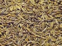 Cumin Seeds