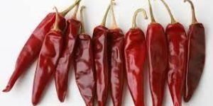 Dried Red Chilli