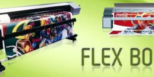 Flex Printings
