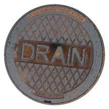 Drain Lid