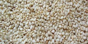 Indian Sesame Seeds