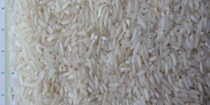 Non Basmati Rice