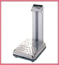 Platform Weighing Machine