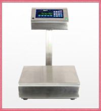 System Scale Bench Type