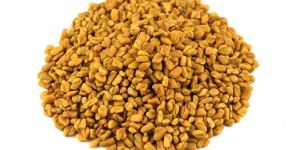 Fenugreek Seeds