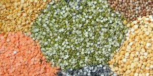 Indian Pulses