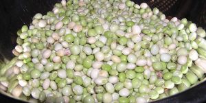 Pigeon Peas
