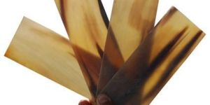Ox Horn Plates