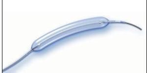 Fox Plus PTA Catheter