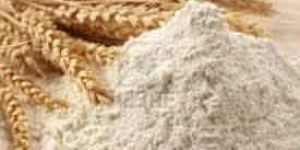 Flour