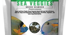 Pet Food Packaging Products