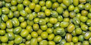 Mung Beans