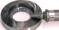 Hypoid Gear