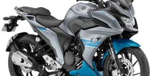 Yamaha Fazer25 Motorcycle