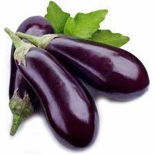 Fresh Brinjal