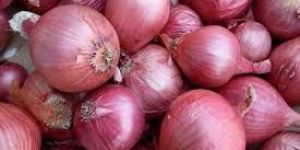 Organic Onion