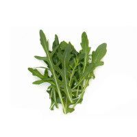 Organic Rocket Leaves