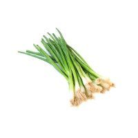 Organic Spring Onion Leaves