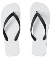 Flip Flop