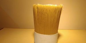 Indian Hollow Brush Filaments