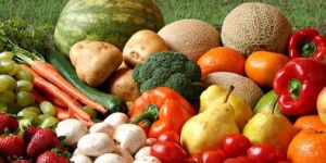 Fresh Perishable Commodities Exports